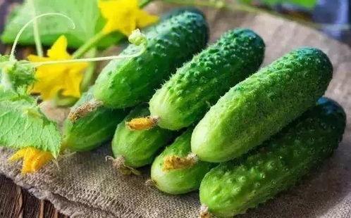 春吃春芽夏吃瓜,四季养生之道