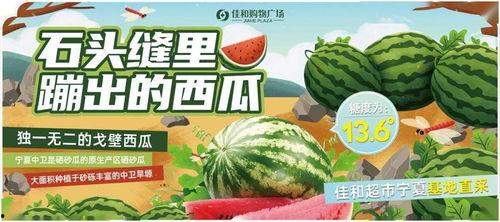 吃热门大瓜刮,吃热门大瓜，揭秘明星幕后故事