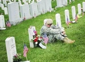 公墓圈吃瓜 亡魂,揭秘亡魂与瓜田的秘密