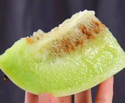 吃玉瓜的视频,视频教你轻松烹饪美味佳肴