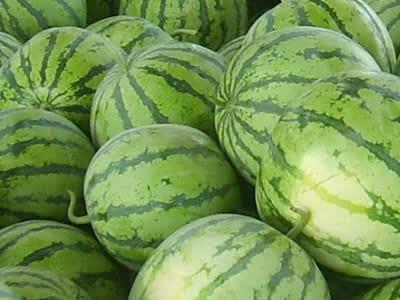 吃瓜会漂亮吗,吃瓜也能变美？揭秘瓜果中的美容秘密