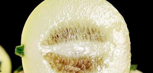 盘点人类吃瓜,盘点人类吃瓜的历史与现状