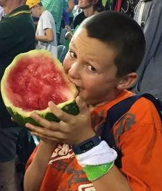 澳洲吃瓜群,揭秘当地社交圈的热议话题与生活点滴