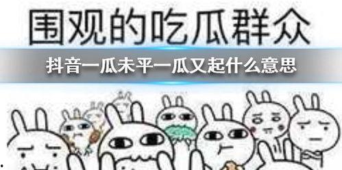 718抖音吃瓜,718吃瓜盛宴，揭秘网红幕后故事