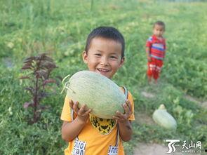 东方蜜瓜 幼儿吃,幼儿美味营养新选择