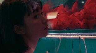 吃瓜女孩全部视频,揭秘娱乐圈幕后故事